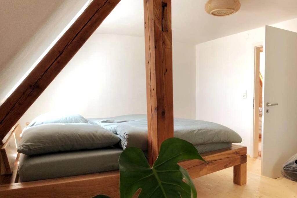 Ruhig Gelegene, Top Moderne Ferienwohnung - Hot Tub Und Sauna Gegen Aufpreis Neuhaus an Der Eger Exterior photo