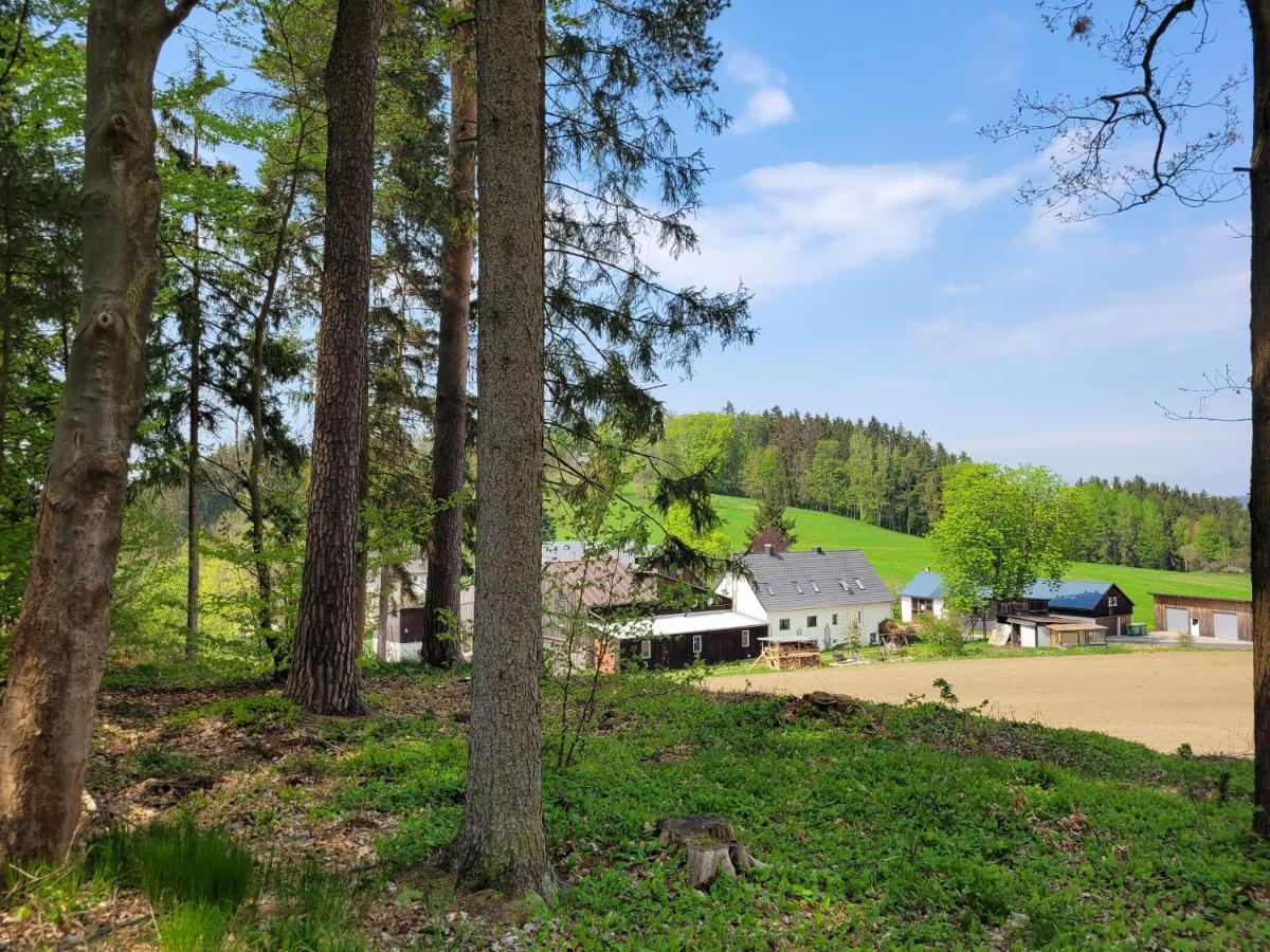 Ruhig Gelegene, Top Moderne Ferienwohnung - Hot Tub Und Sauna Gegen Aufpreis Neuhaus an Der Eger Exterior photo
