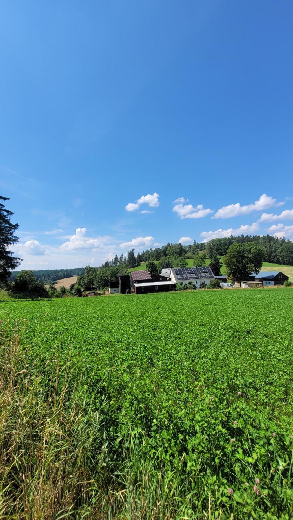 Ruhig Gelegene, Top Moderne Ferienwohnung - Hot Tub Und Sauna Gegen Aufpreis Neuhaus an Der Eger Exterior photo